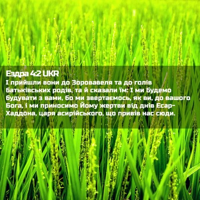Picture 02 - Ездра 4:2 UKR - І прийшли вони до - Bible Verse Picture