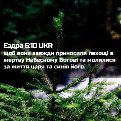 Picture 02 - Ездра 6:10 UKR - щоб вони завжди приносили - Bible Verse Picture