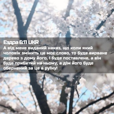 Picture 02 - Ездра 6:11 UKR - А від мене виданий наказ, - Bible Verse Picture