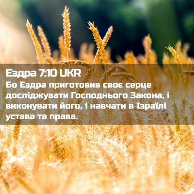 Picture 02 - Ездра 7:10 UKR - Бо Ездра приготовив своє - Bible Verse Picture