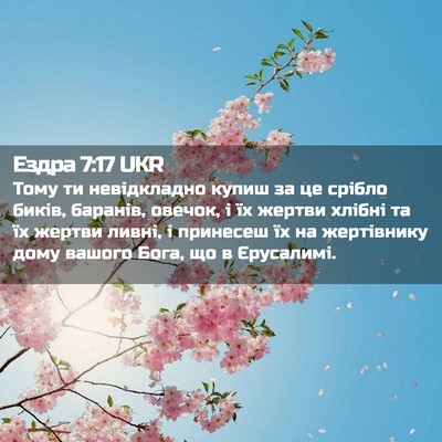 Picture 02 - Ездра 7:17 UKR - Тому ти невідкладно купиш - Bible Verse Picture