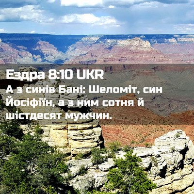 Picture 02 - Ездра 8:10 UKR - А з синів Бані: Шеломіт, син - Bible Verse Picture