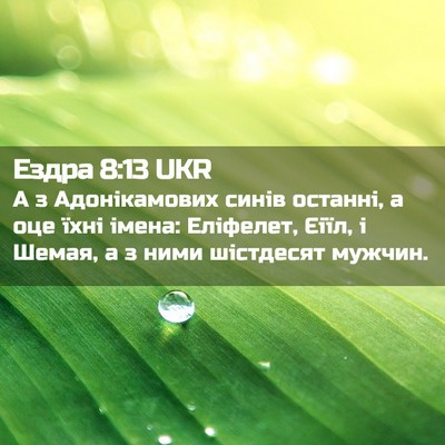 Picture 02 - Ездра 8:13 UKR - А з Адонікамових синів - Bible Verse Picture