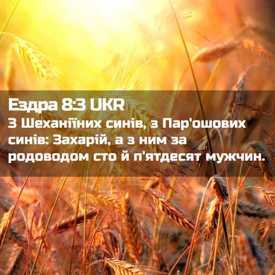 Picture 02 - Ездра 8:3 UKR - З Шеханіїних синів, з - Bible Verse Picture