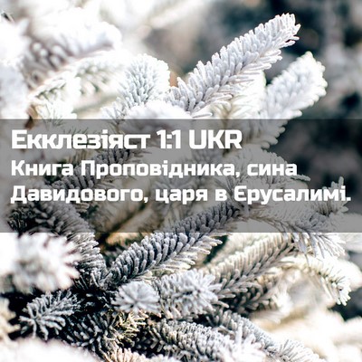 Picture 02 - Екклезіяст 1:1 UKR - Книга Проповідника, сина - Bible Verse Picture