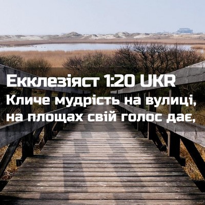 Picture 02 - Екклезіяст 1:20 UKR - Кличе мудрість на вулиці, - Bible Verse Picture