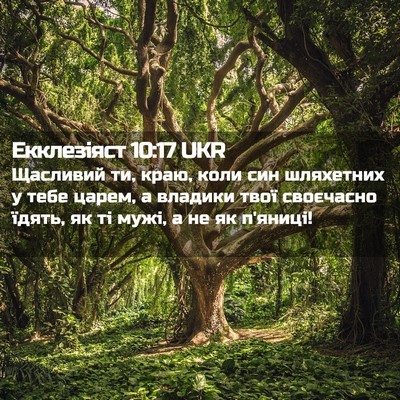 Picture 02 - Екклезіяст 10:17 UKR - Щасливий ти, краю, коли син - Bible Verse Picture