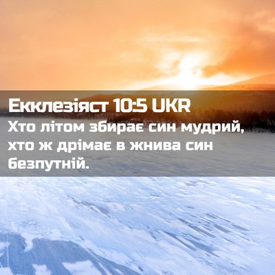 Picture 02 - Екклезіяст 10:5 UKR - Хто літом збирає син - Bible Verse Picture