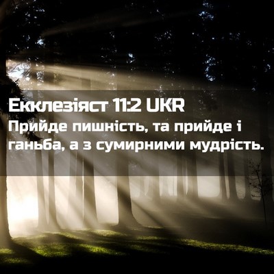 Picture 02 - Екклезіяст 11:2 UKR - Прийде пишність, та прийде - Bible Verse Picture