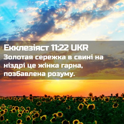 Picture 02 - Екклезіяст 11:22 UKR - Золотая сережка в свині на - Bible Verse Picture