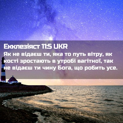 Picture 02 - Екклезіяст 11:5 UKR - Як не відаєш ти, яка то путь - Bible Verse Picture