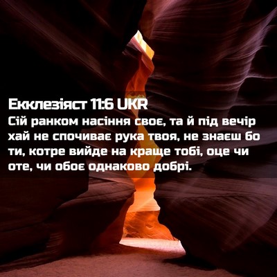Picture 02 - Екклезіяст 11:6 UKR - Сій ранком насіння своє, та - Bible Verse Picture