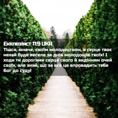 Picture 02 - Екклезіяст 11:9 UKR - Тішся, юначе, своїм - Bible Verse Picture