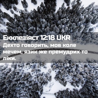Picture 02 - Екклезіяст 12:18 UKR - Дехто говорить, мов коле - Bible Verse Picture