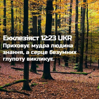 Picture 02 - Екклезіяст 12:23 UKR - Приховує мудра людина - Bible Verse Picture