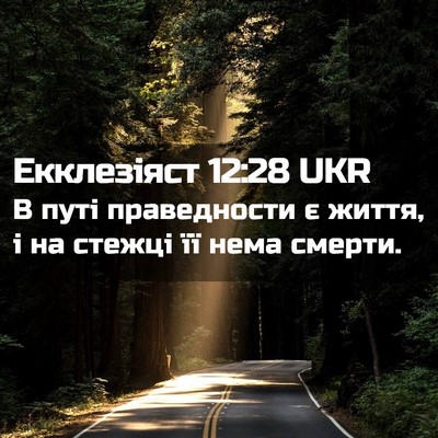 Picture 02 - Екклезіяст 12:28 UKR - В путі праведности є життя, - Bible Verse Picture