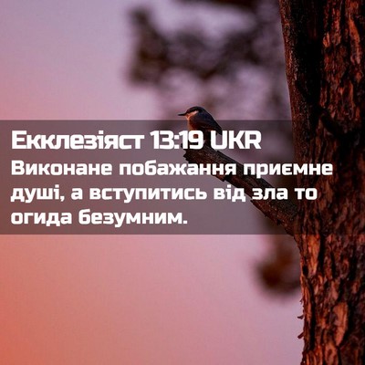 Picture 02 - Екклезіяст 13:19 UKR - Виконане побажання - Bible Verse Picture