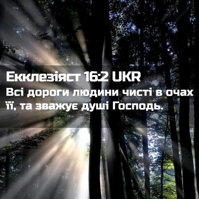 Picture 02 - Екклезіяст 16:2 UKR - Всі дороги людини чисті в - Bible Verse Picture