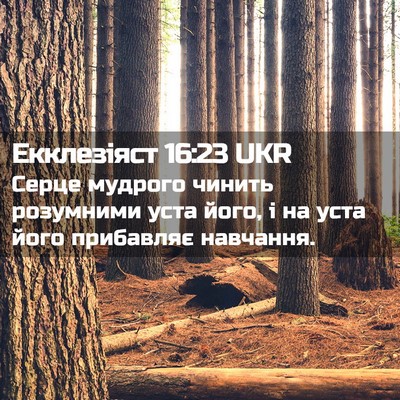 Picture 02 - Екклезіяст 16:23 UKR - Серце мудрого чинить - Bible Verse Picture
