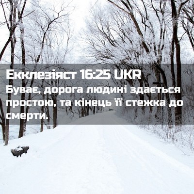 Picture 02 - Екклезіяст 16:25 UKR - Буває, дорога людині - Bible Verse Picture