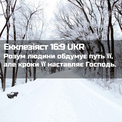 Picture 02 - Екклезіяст 16:9 UKR - Розум людини обдумує путь - Bible Verse Picture