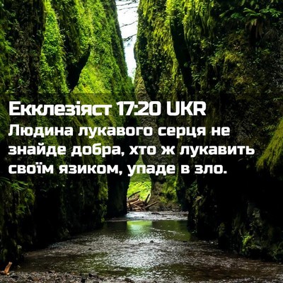 Picture 02 - Екклезіяст 17:20 UKR - Людина лукавого серця не - Bible Verse Picture