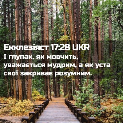 Picture 02 - Екклезіяст 17:28 UKR - І глупак, як мовчить, - Bible Verse Picture