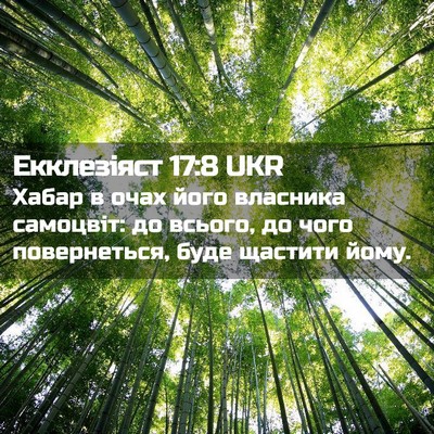 Picture 02 - Екклезіяст 17:8 UKR - Хабар в очах його власника - Bible Verse Picture