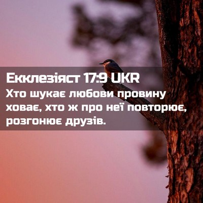 Picture 02 - Екклезіяст 17:9 UKR - Хто шукає любови провину - Bible Verse Picture