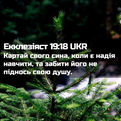 Picture 02 - Екклезіяст 19:18 UKR - Картай свого сина, коли є - Bible Verse Picture