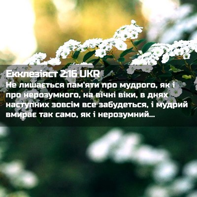 Picture 02 - Екклезіяст 2:16 UKR - Не лишається пам'яти про - Bible Verse Picture