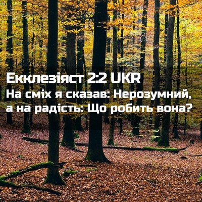 Picture 02 - Екклезіяст 2:2 UKR - На сміх я сказав: - Bible Verse Picture