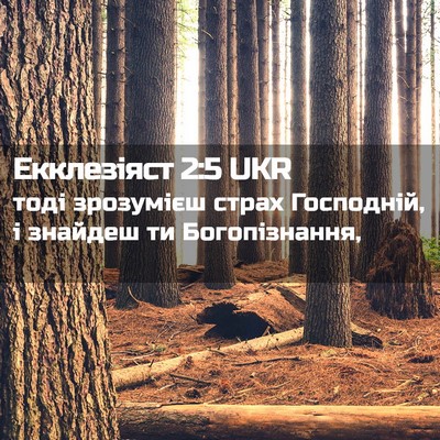 Picture 02 - Екклезіяст 2:5 UKR - тоді зрозумієш страх - Bible Verse Picture