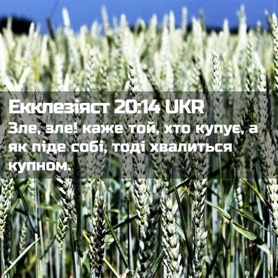 Picture 02 - Екклезіяст 20:14 UKR - Зле, зле! каже той, хто - Bible Verse Picture