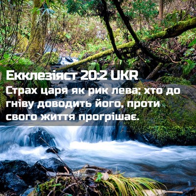 Picture 02 - Екклезіяст 20:2 UKR - Страх царя як рик лева; хто - Bible Verse Picture