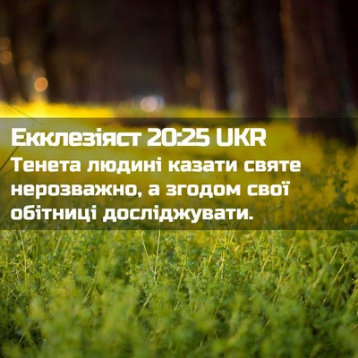 Picture 02 - Екклезіяст 20:25 UKR - Тенета людині казати святе - Bible Verse Picture