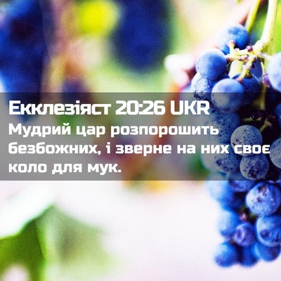Picture 02 - Екклезіяст 20:26 UKR - Мудрий цар розпорошить - Bible Verse Picture