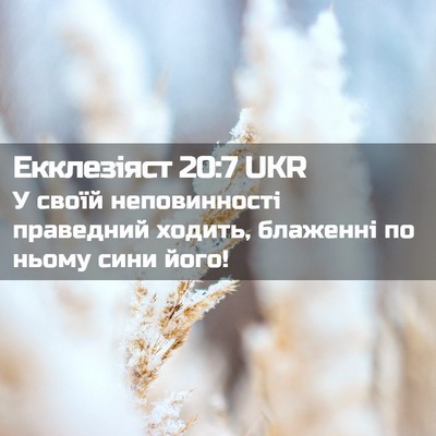 Picture 02 - Екклезіяст 20:7 UKR - У своїй неповинності - Bible Verse Picture