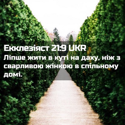 Picture 02 - Екклезіяст 21:9 UKR - Ліпше жити в куті на даху, - Bible Verse Picture