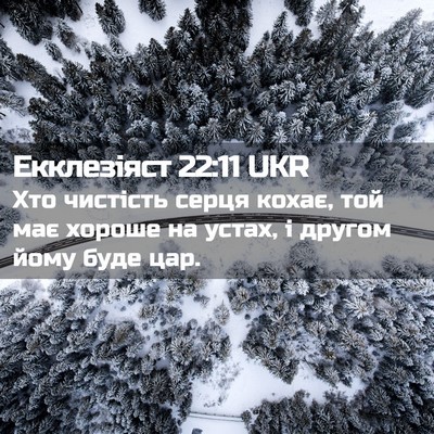 Picture 02 - Екклезіяст 22:11 UKR - Хто чистість серця кохає, - Bible Verse Picture