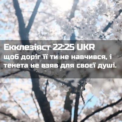 Picture 02 - Екклезіяст 22:25 UKR - щоб доріг її ти не - Bible Verse Picture