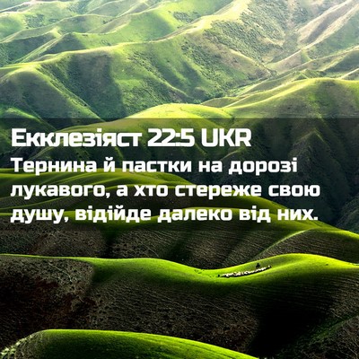 Picture 02 - Екклезіяст 22:5 UKR - Тернина й пастки на дорозі - Bible Verse Picture