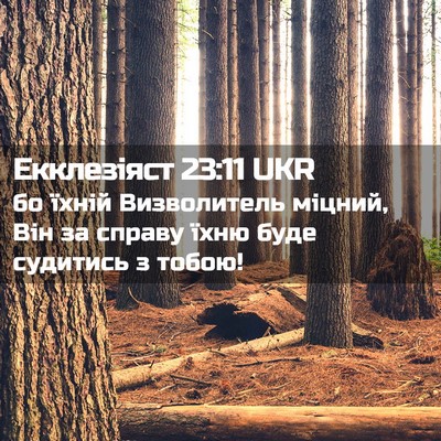 Picture 02 - Екклезіяст 23:11 UKR - бо їхній Визволитель - Bible Verse Picture