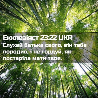Picture 02 - Екклезіяст 23:22 UKR - Слухай батька свого, він - Bible Verse Picture
