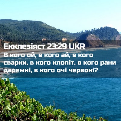 Picture 02 - Екклезіяст 23:29 UKR - В кого ой, в кого ай, в кого - Bible Verse Picture