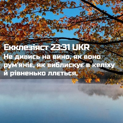Picture 02 - Екклезіяст 23:31 UKR - Не дивись на вино, як воно - Bible Verse Picture