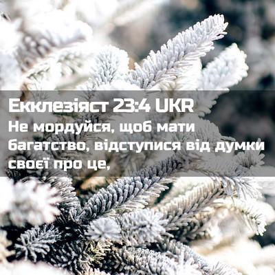 Picture 02 - Екклезіяст 23:4 UKR - Не мордуйся, щоб мати - Bible Verse Picture
