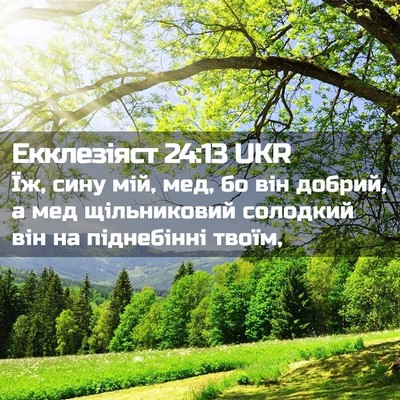 Picture 02 - Екклезіяст 24:13 UKR - Їж, сину мій, мед, бо він - Bible Verse Picture