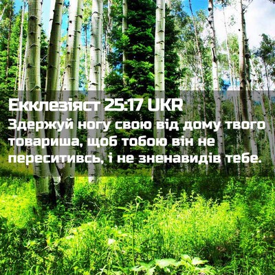 Picture 02 - Екклезіяст 25:17 UKR - Здержуй ногу свою від дому - Bible Verse Picture