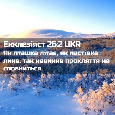 Picture 02 - Екклезіяст 26:2 UKR - Як пташка літає, як - Bible Verse Picture